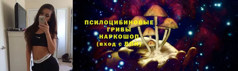 shop формула  даркнет сайт  Высоцк  Галлюциногенные грибы Cubensis 